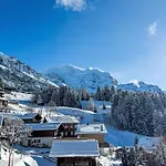 Bella Vista Apt- No- 09 By Interhome * Wengen
