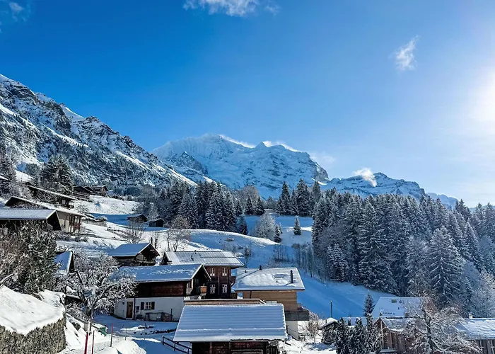 Bella Vista Apt- No- 09 By Interhome * Wengen
